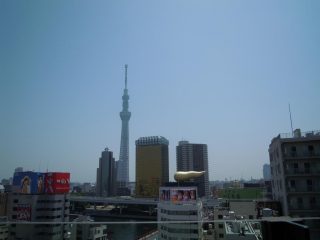 東京スカイツリーから浅草上野徒歩移動と東京タワーはこれ 体験記5 こころのビタミンc